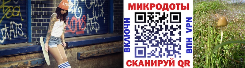 Псилоцибиновые грибы Cubensis  что такое   Горно-Алтайск 