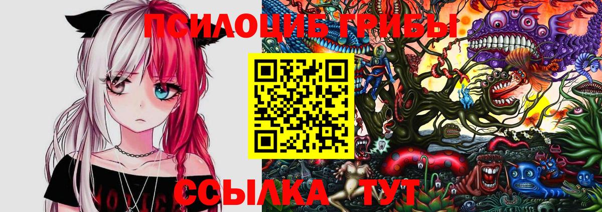 Горно-Алтайск  закладки  Вход с VPN  Псилоцибиновые грибы Psilocybe 