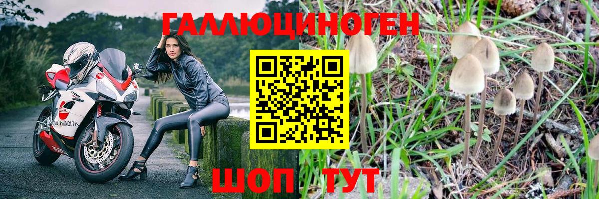 Галлюциногенные грибы GOLDEN TEACHER Горно-Алтайск